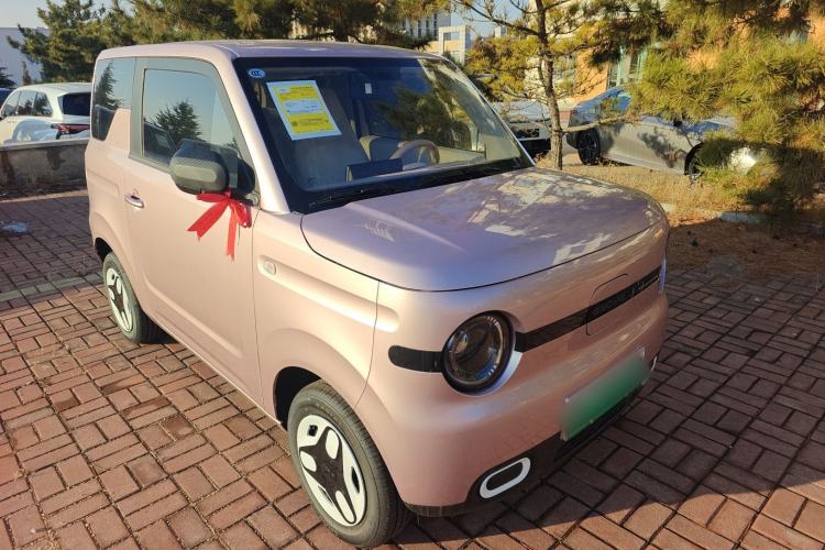 Used  Panda 2025 210 km – Yuanqi Bear

