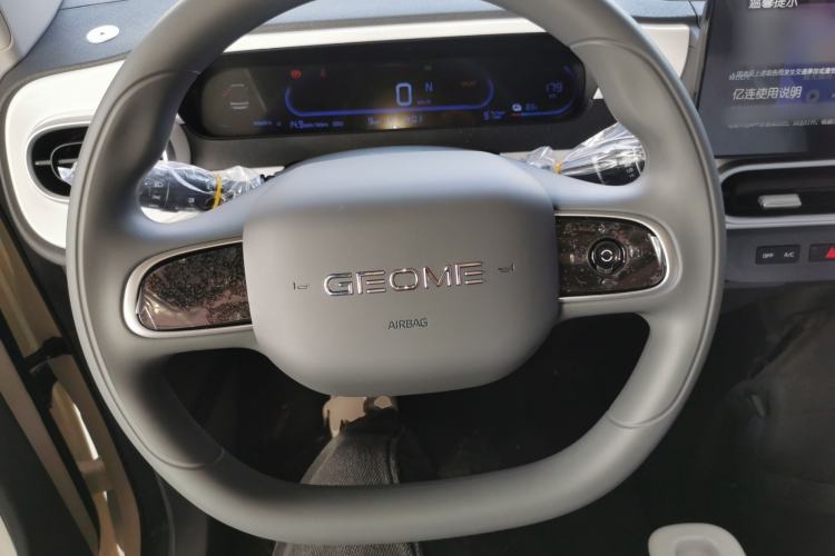 Used  Panda 2025 210 km – Yuanqi Bear
