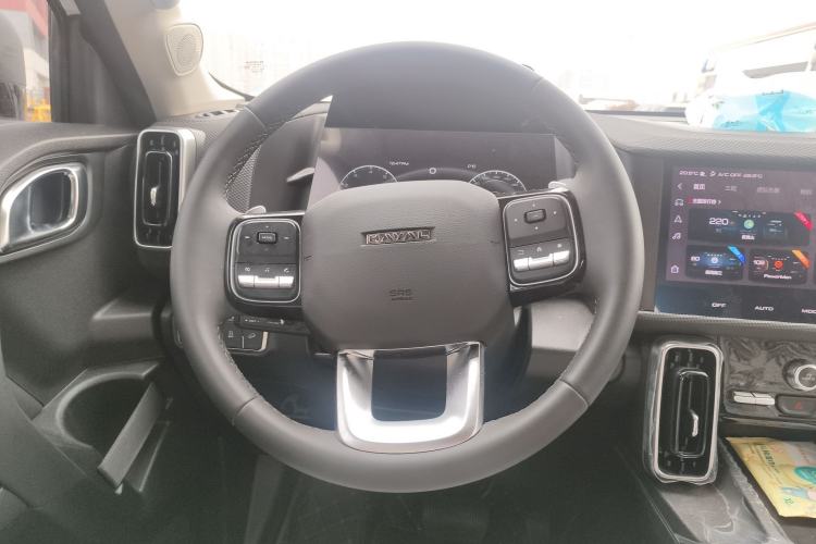 Used Haval DARGO 2024 2.0T DCT Chinese Rural Dog Edition