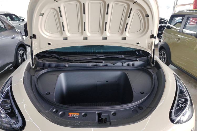 Used  Geome 2025 310km Dream Edition
