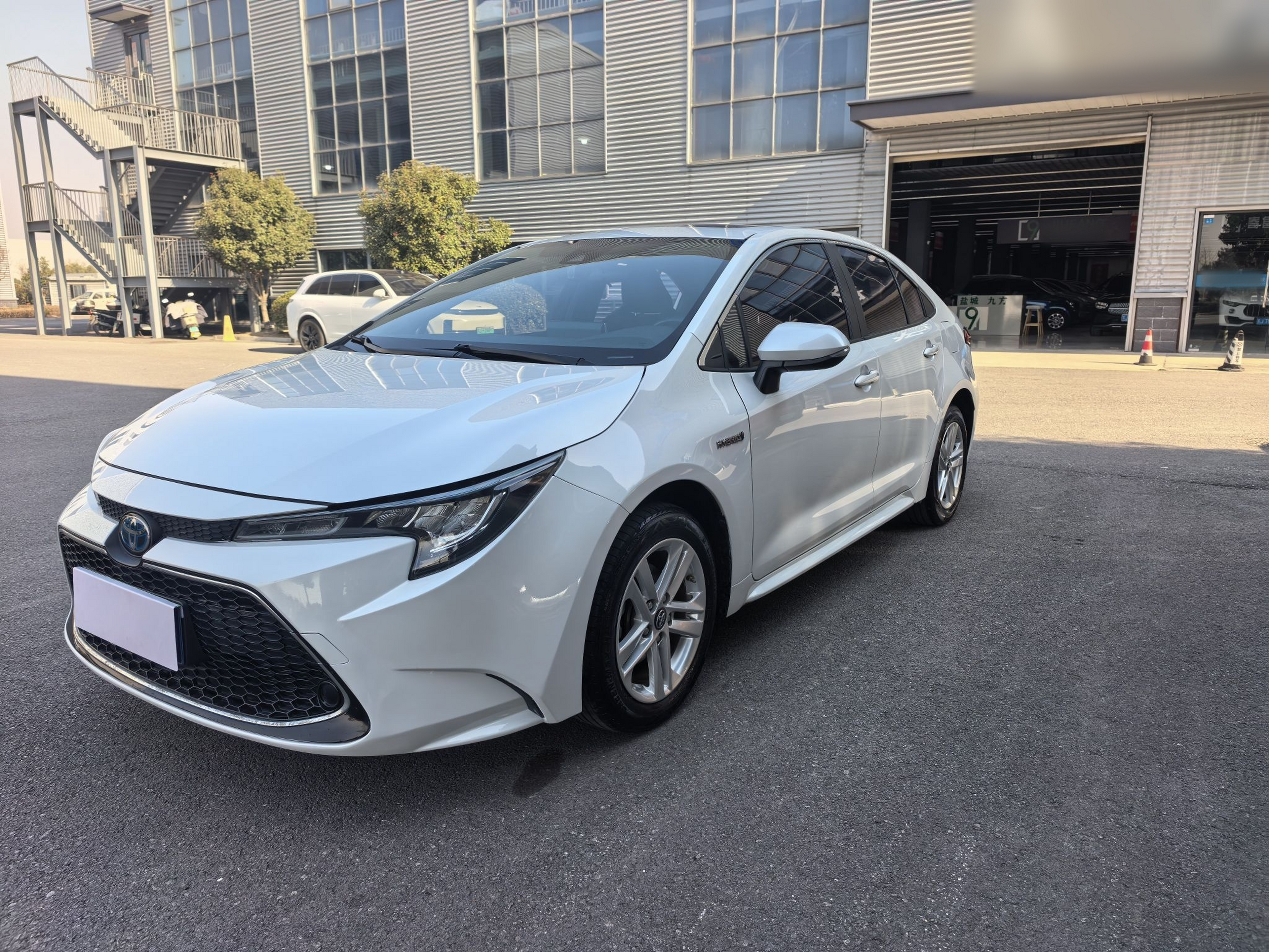 تحت مقدمة السيارة