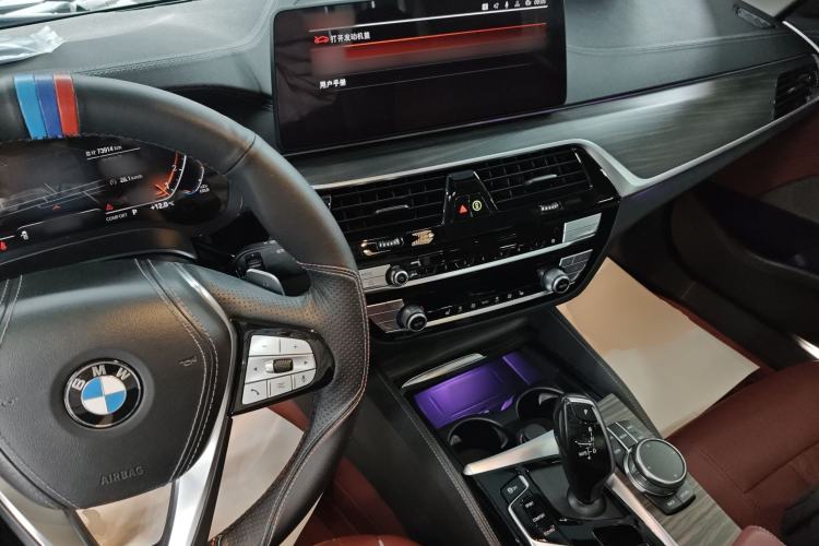 Used BMW 5 Series 2021 530Li Leading Luxury Package