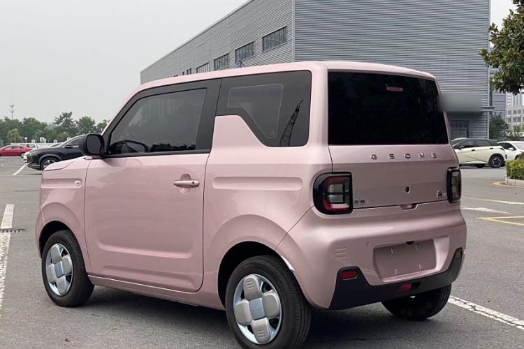 Used  Panda 2023 Panda Mini 200km Endurance Bear
