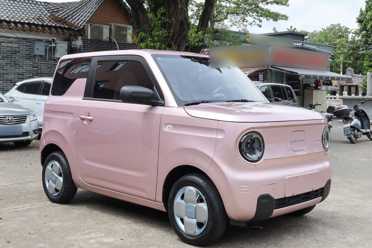 Used  Panda 2024 Panda Mini 200km Endurance Bear
