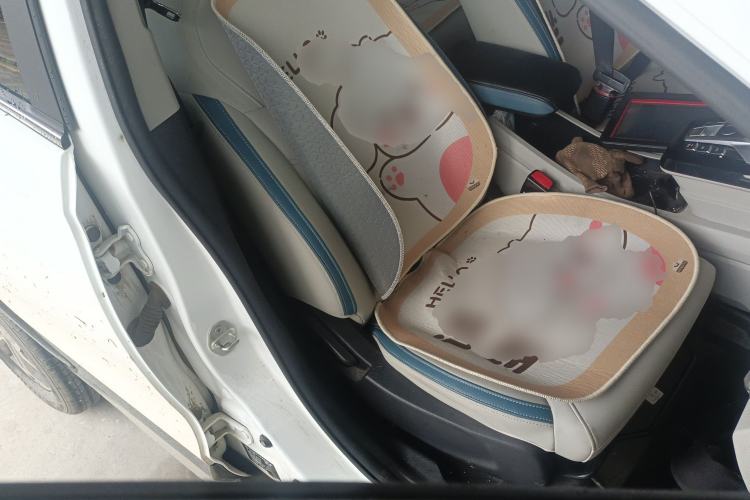 Used BYD Yuan Pro 2023 401KM Luxury Version
