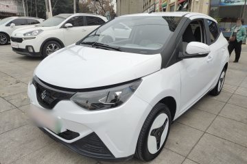 Used JMEV 2024 201km Comfort Version