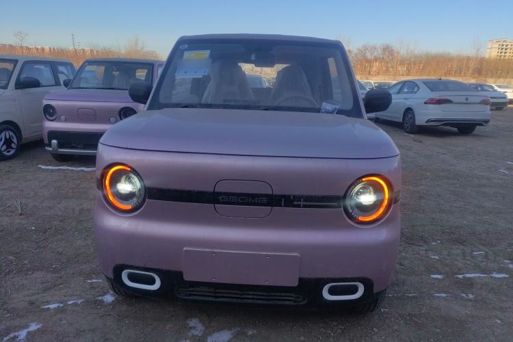 Used  Panda 2025 210 km – Yuanqi Bear
