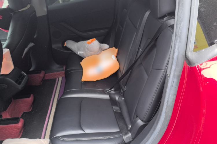 Used Tesla Model Y 2022 Revised Version Long-Range All-Wheel Drive