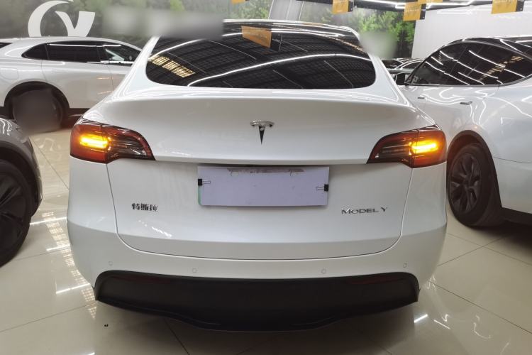 Used Tesla Model Y 2021 Standard Range Rear-Wheel Drive Version
