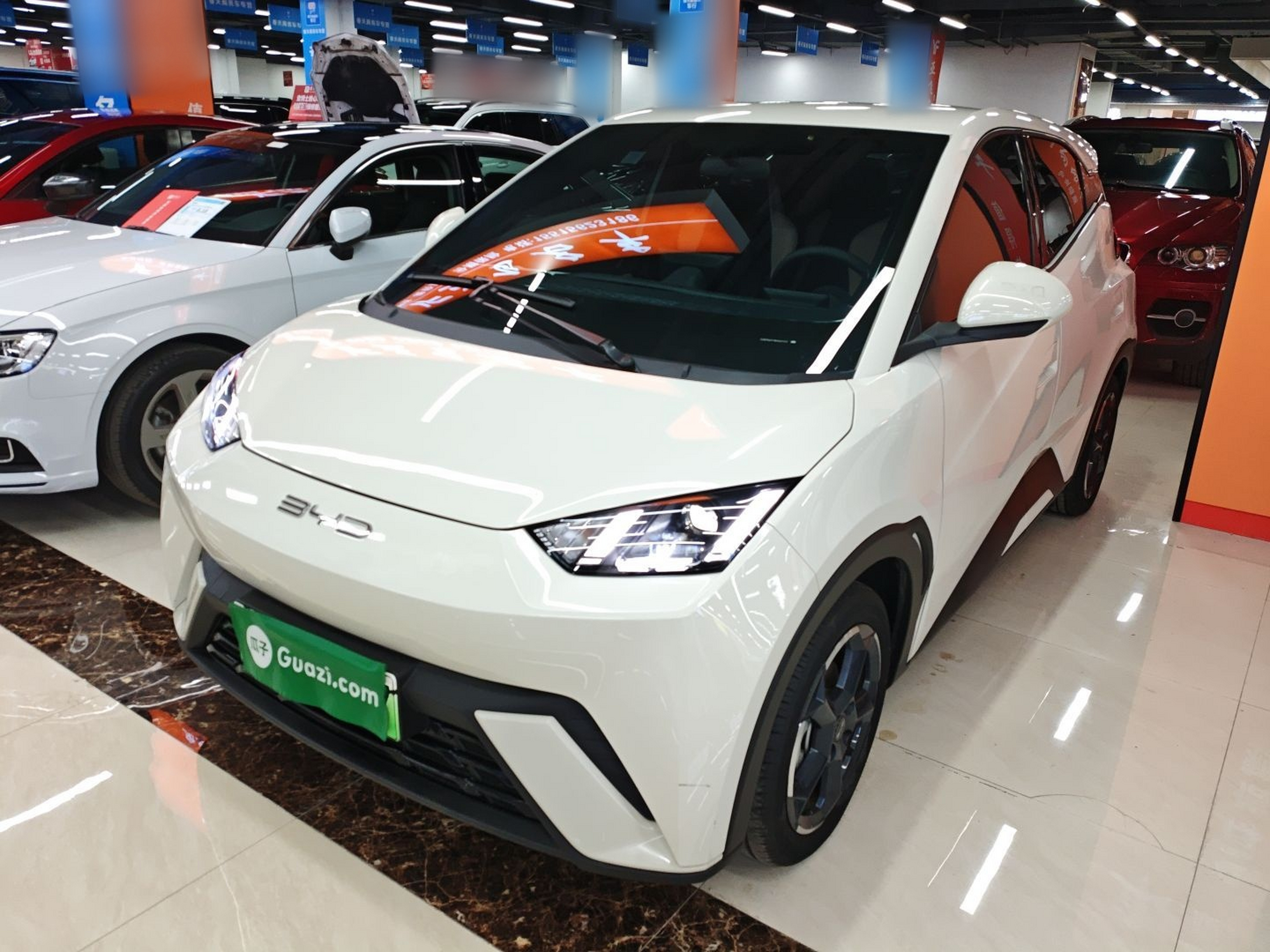 تحت مقدمة السيارة