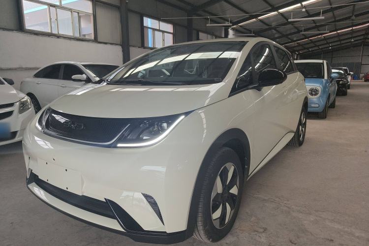 Used BYD Dolphin 2025 420km Free Edition