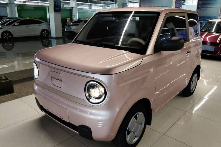 Used  Panda 2024 Panda Mini 200km Endurance Bear
