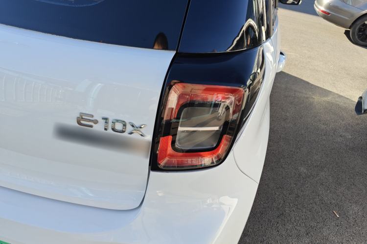 Used SOL E10X 2022 Flower Fairy Design Four-Leaf Clover