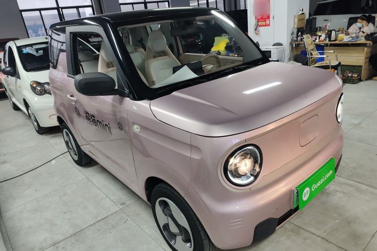 Used  Panda 2023 Panda Mini 200km Dynamic Bear