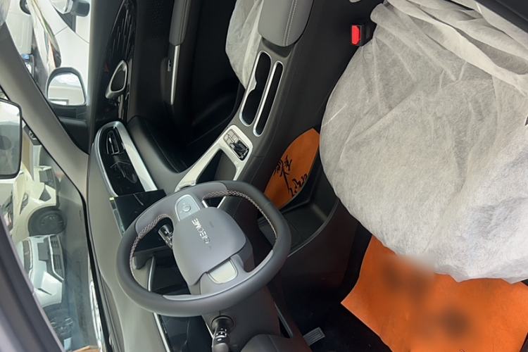 Used  Geome 2025 310km Youth Edition
