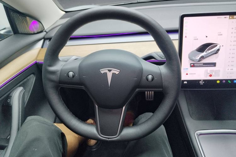 Used Tesla Model 3 2022 Performance High-Performance All-Wheel-Drive Version
