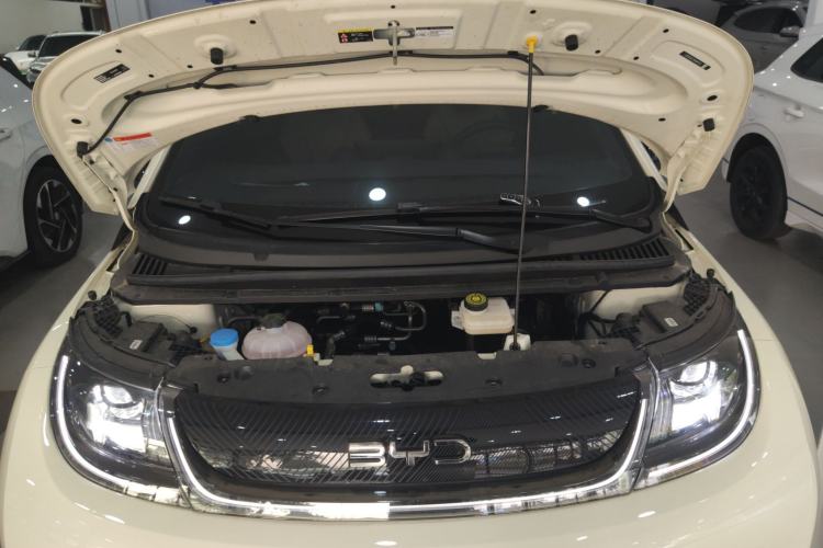 Used BYD Dolphin 2025 420km Fashion Edition
