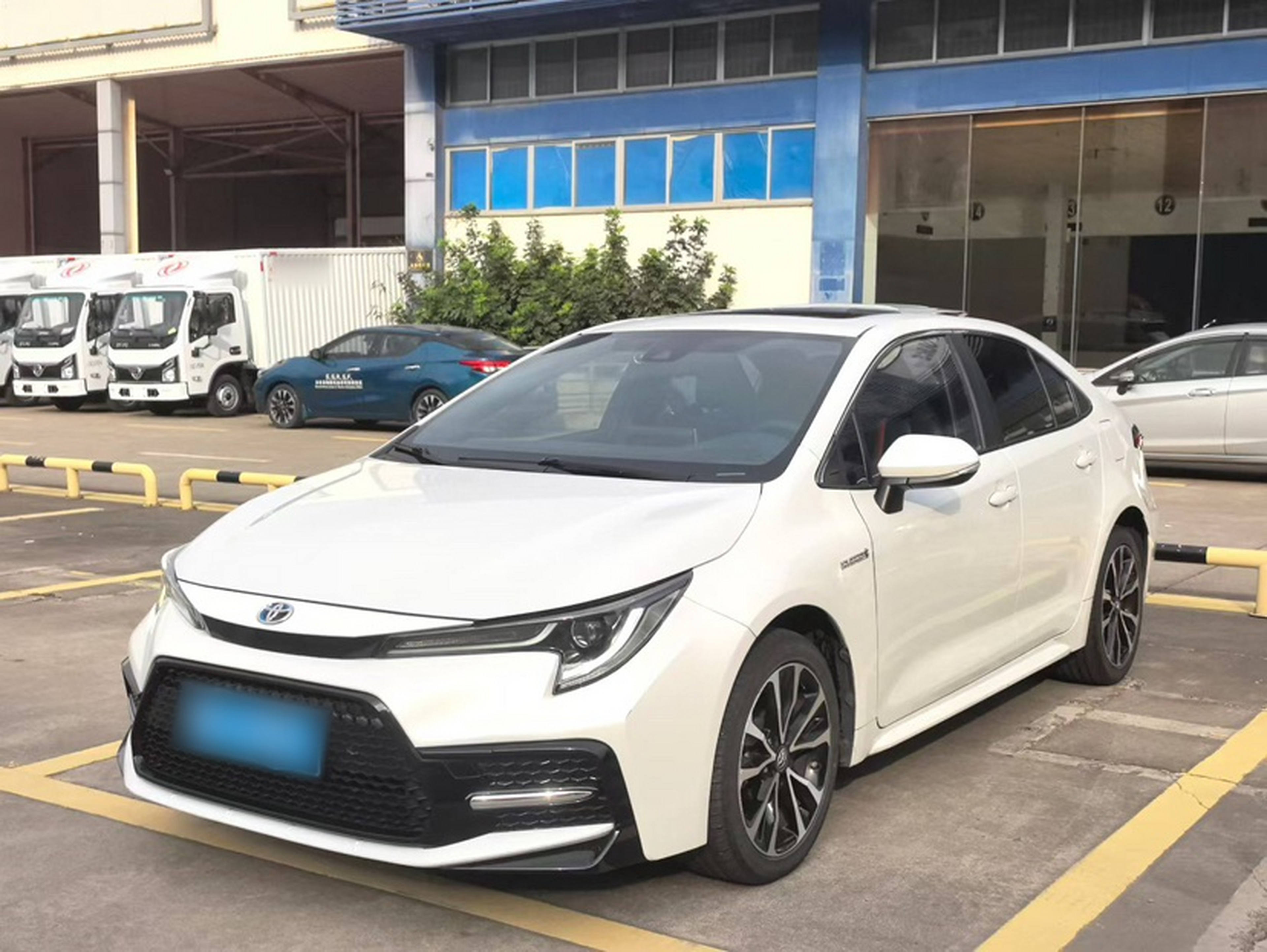 تحت مقدمة السيارة