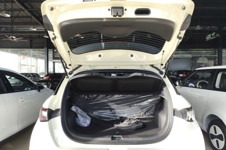 Used BYD Dolphin 2025 420km Free Edition
