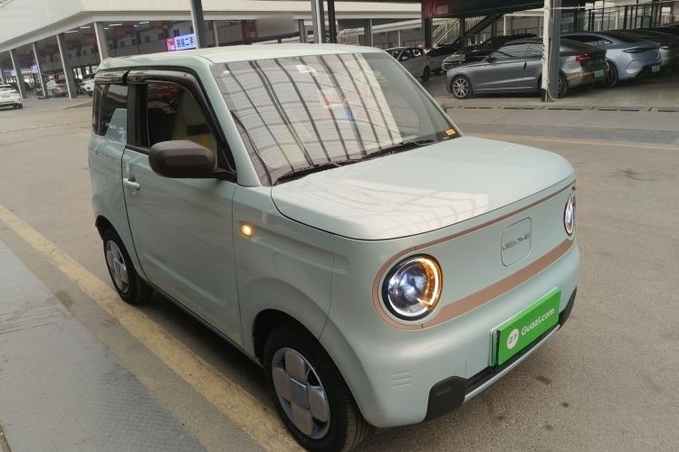 Used  Panda 2024 Panda Mini 200km Longteng PRO Edition
