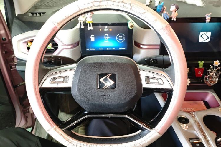 Used SOL E10X 2022 Flower Fairy Style Baby's Breath