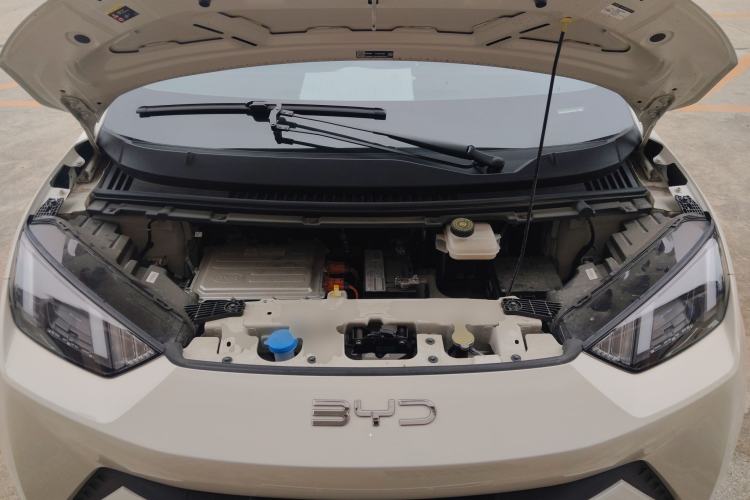 Used BYD Seagull 2025 305 km Free Version