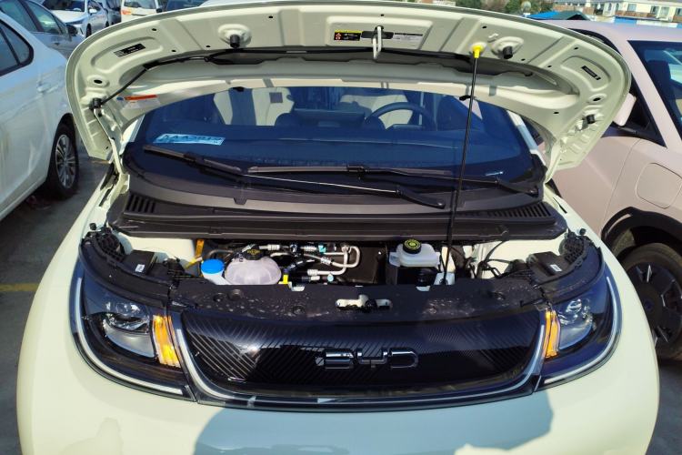 Used BYD Dolphin 2025 420km Free Edition
