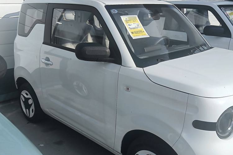 Used  Panda 2025 210 km – Yuanqi Bear