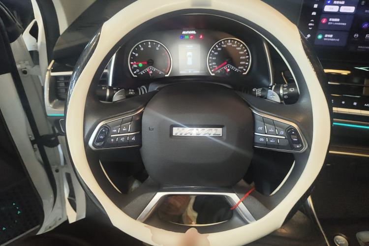 Used Haval H6 2023 National Trend Edition 1.5T Automatic Urban Version