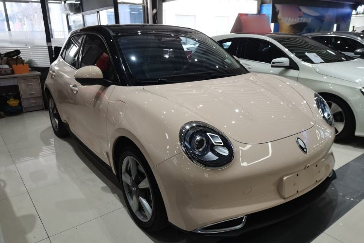 Used ORA Good Cat 2023 401 km Standard Range Premium Version Lithium Iron Phosphate