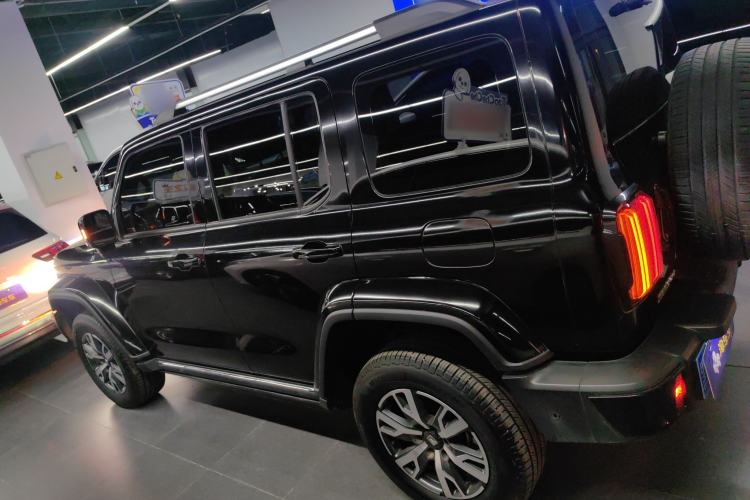 Used Tank 300 2024 2.0T Crosser
