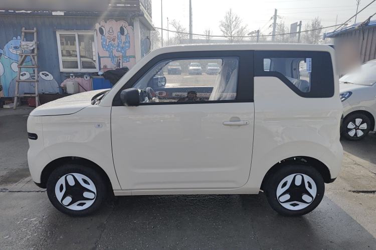 Used  Panda 2025 210 km – Yuanqi Bear
