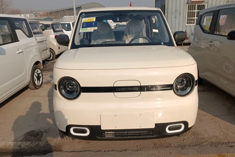 Used  Panda 2025 210 km – Yuanqi Bear
