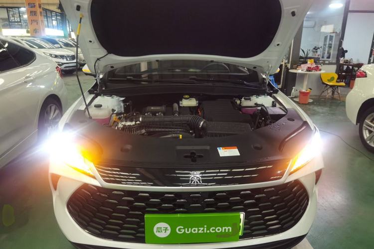 Used BYD Qin PLUS 2025 DM-i Smart Drive 55KM Beyond Model
