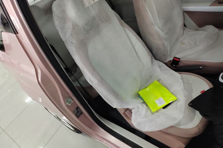 Used  Panda 2025 210 km – Yuanqi Bear
