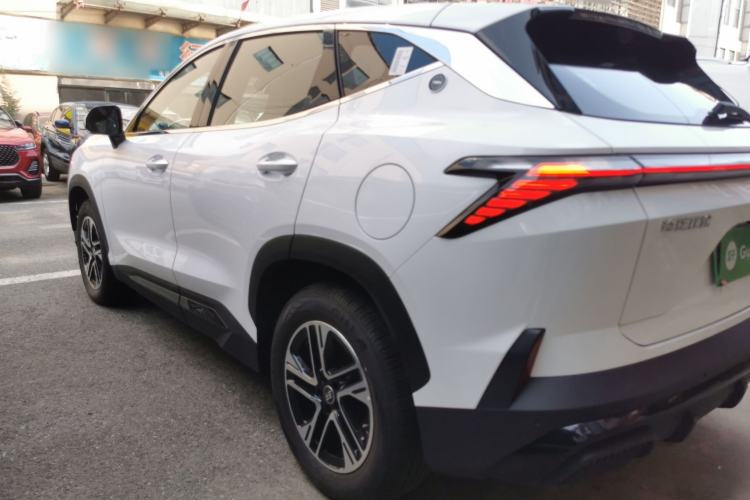 Used  Shanhai L6 2024 1.5TD DHT MAX
