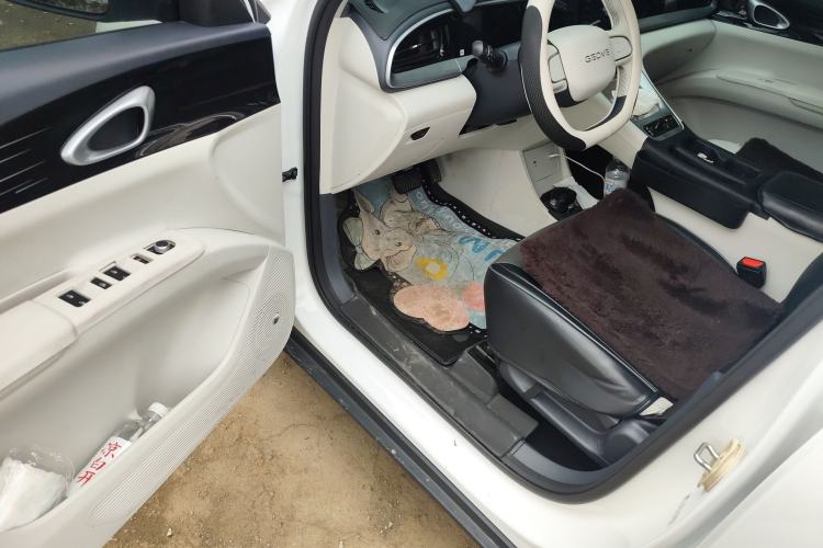 Used  Geome 2025 310km Youth Edition