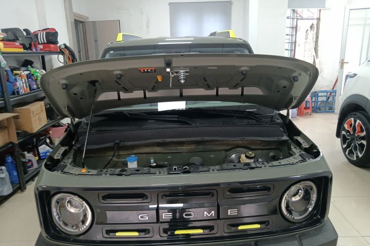 Used  Panda 2025 210km Panda Rider
