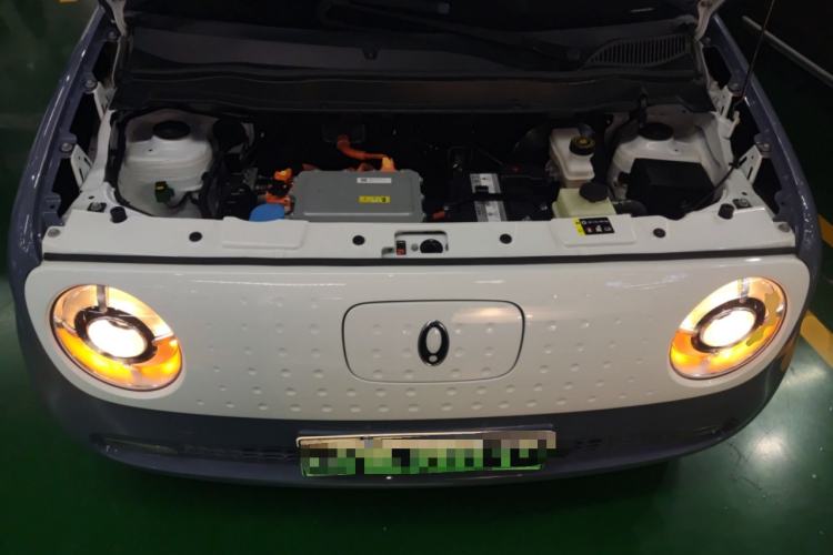 Used ORA Black Cat 2022 351 km Range Luxury Version Lithium-Ion Battery
