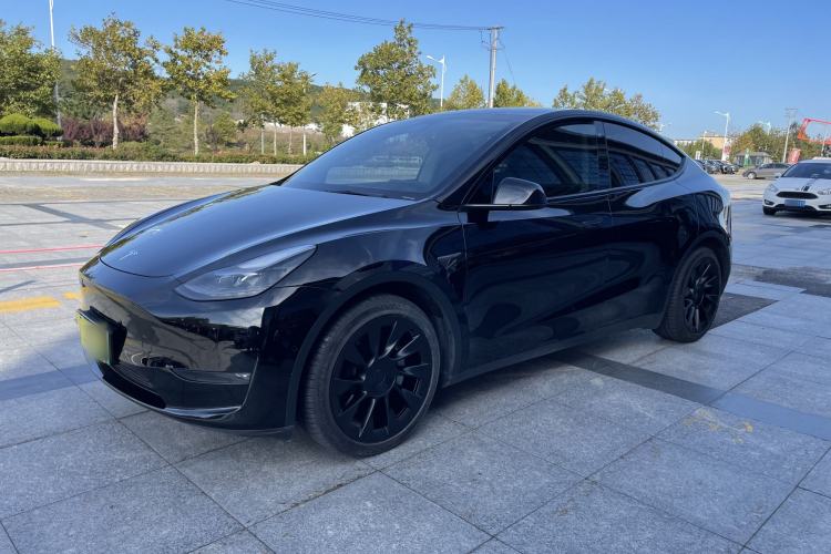 Used Tesla Model Y 2021 Standard Range Rear-Wheel Drive Version
