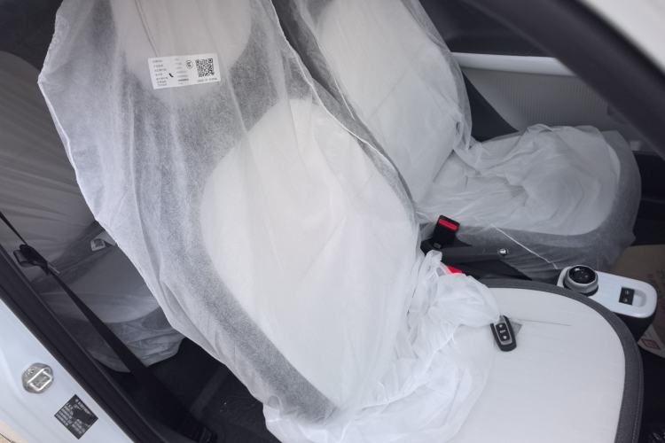 Used  Panda 2025 210 km – Yuanqi Bear