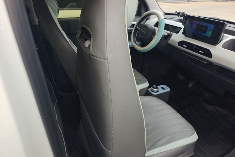 Used  Panda 2024 Panda Mini 200km Endurance Bear
