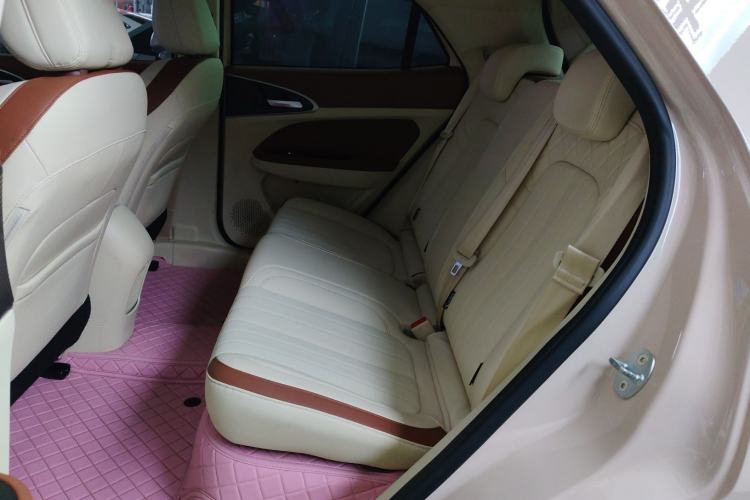 Used ORA Good Cat 2023 401 km Standard Range Luxury Version Lithium Iron Phosphate
