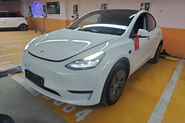 Used Tesla Model Y 2021 Standard Range Rear-Wheel Drive Version
