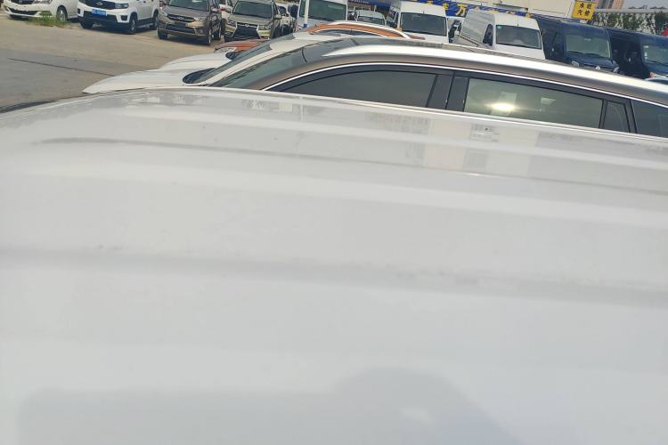 Used  Panda 2024 Panda Mini 200km Endurance Bear
