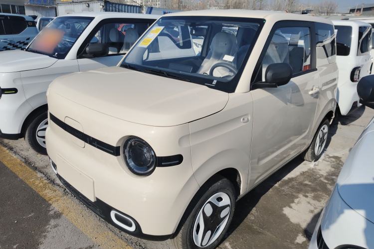 Used  Panda 2025 210 km – Yuanqi Bear
