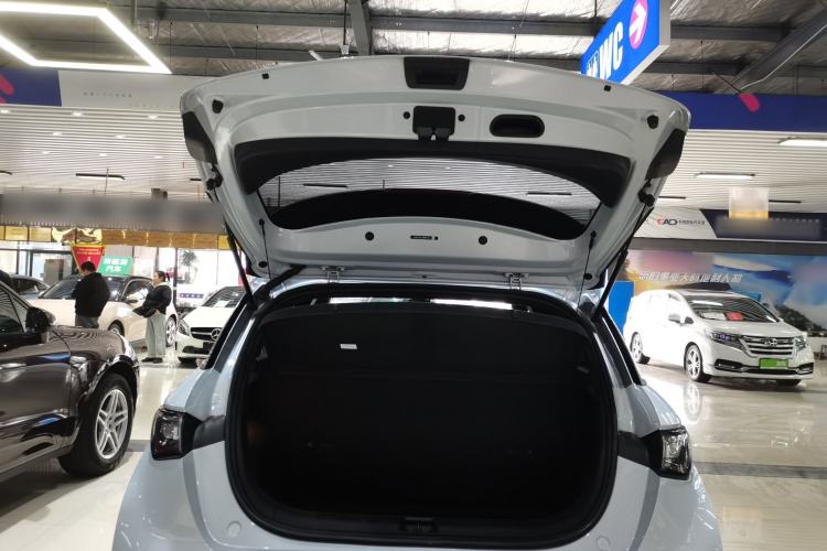 Used BYD Dolphin 2021 405 km Fashion Edition
