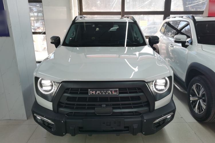 Used Haval DARGO 2024 2.0T DCT Chinese Rural Dog Edition