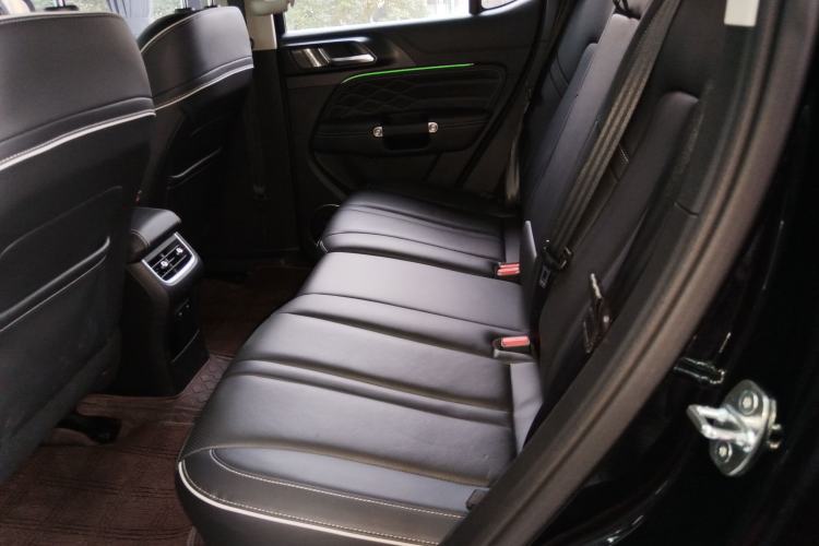 Used Tank 300 2024 2.0T Conqueror