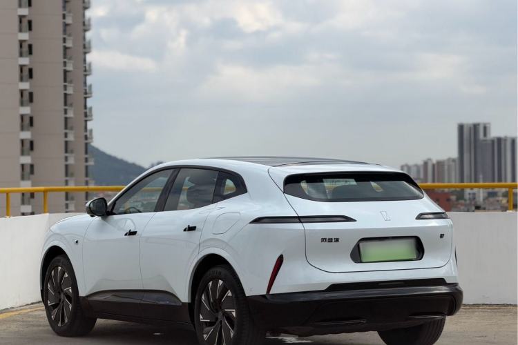 Used  07 2024 Pro Pure Electric Version
